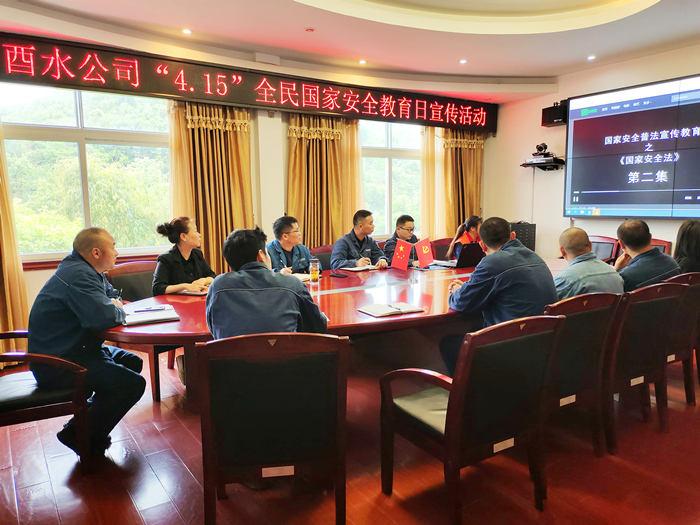 清洁能源酉水公司开展“4.15”全民国家安全教育日活动 田晋秋 摄_副本.jpg